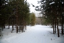 Лыжная база имени Виктора Маматова Лыжная база имени Виктора Маматова