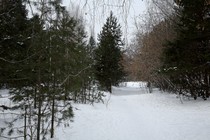 Лыжная база имени Виктора Маматова Лыжная база имени Виктора Маматова