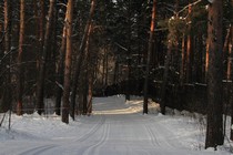 Лыжная база «Красное знамя» Лыжная база «Красное знамя»